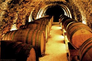 Champagne Tarlant cellars